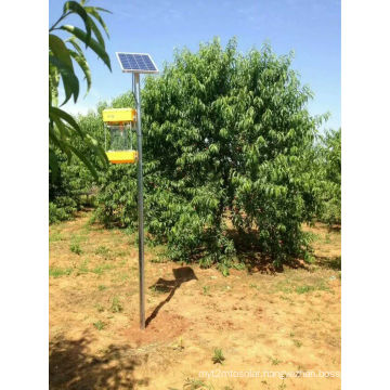 Solar Insecticidal Lights / Solar Insecticidal Lamp for Farm